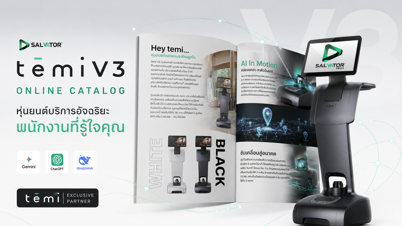 temi V3 Online Catalog