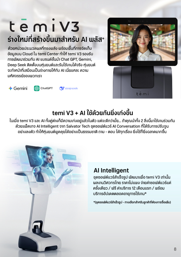 ออกแบบโบรชัวร์ temi v3